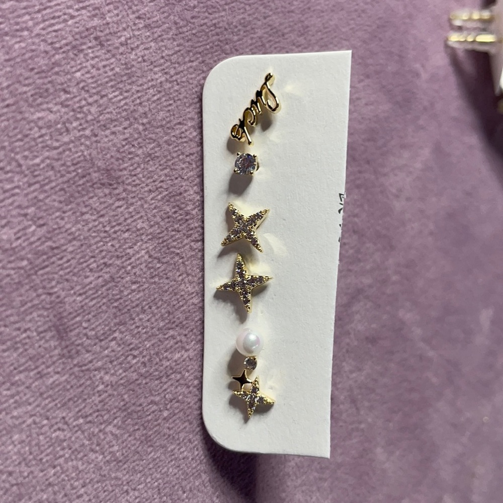 Earrings